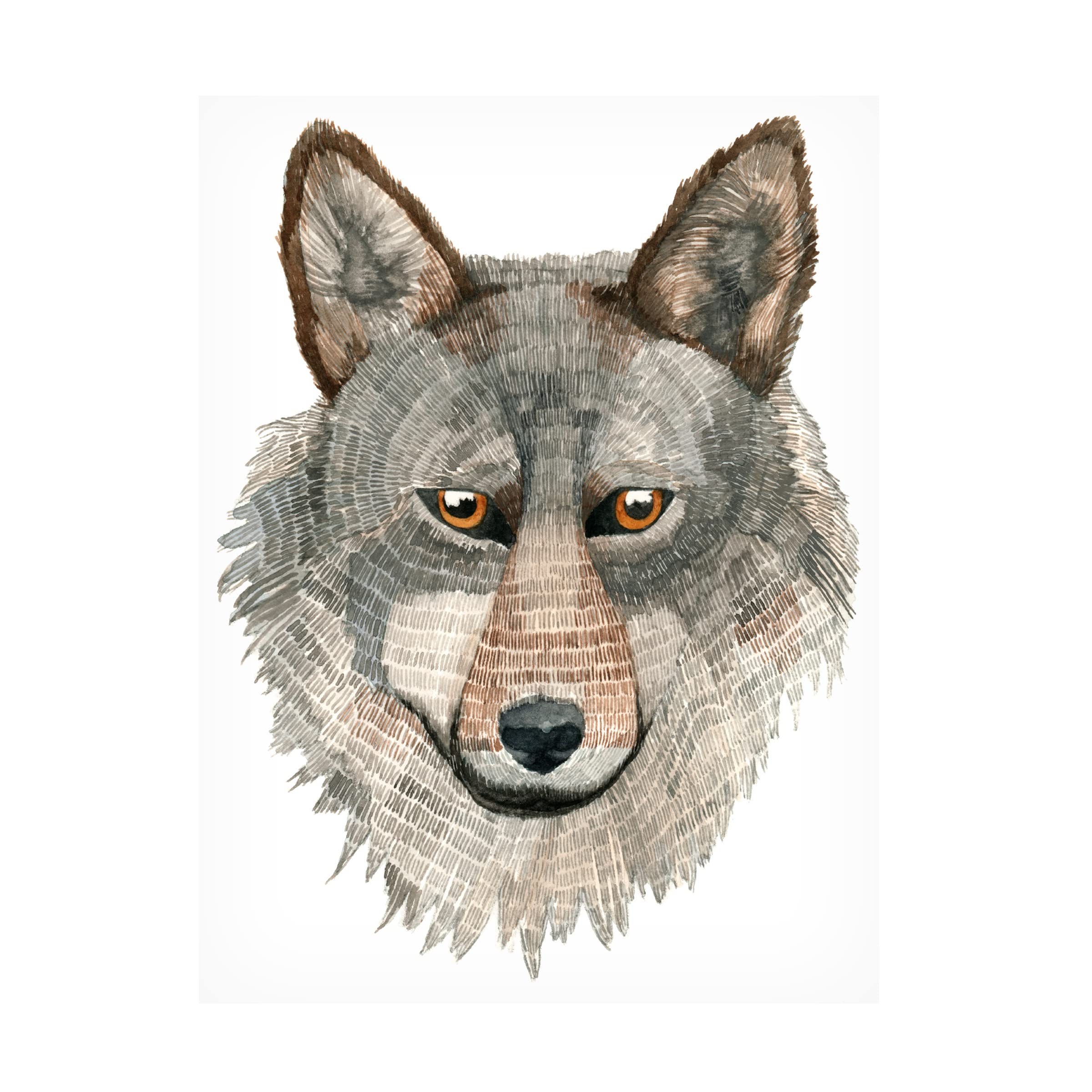 Trademark Fine Art 'Wolf' Canvas Print by Jeannine Saylor | Premium Wildlife Wall Decor for Living Room, Bedroom & Office | Nature Inspired Home Artwork
