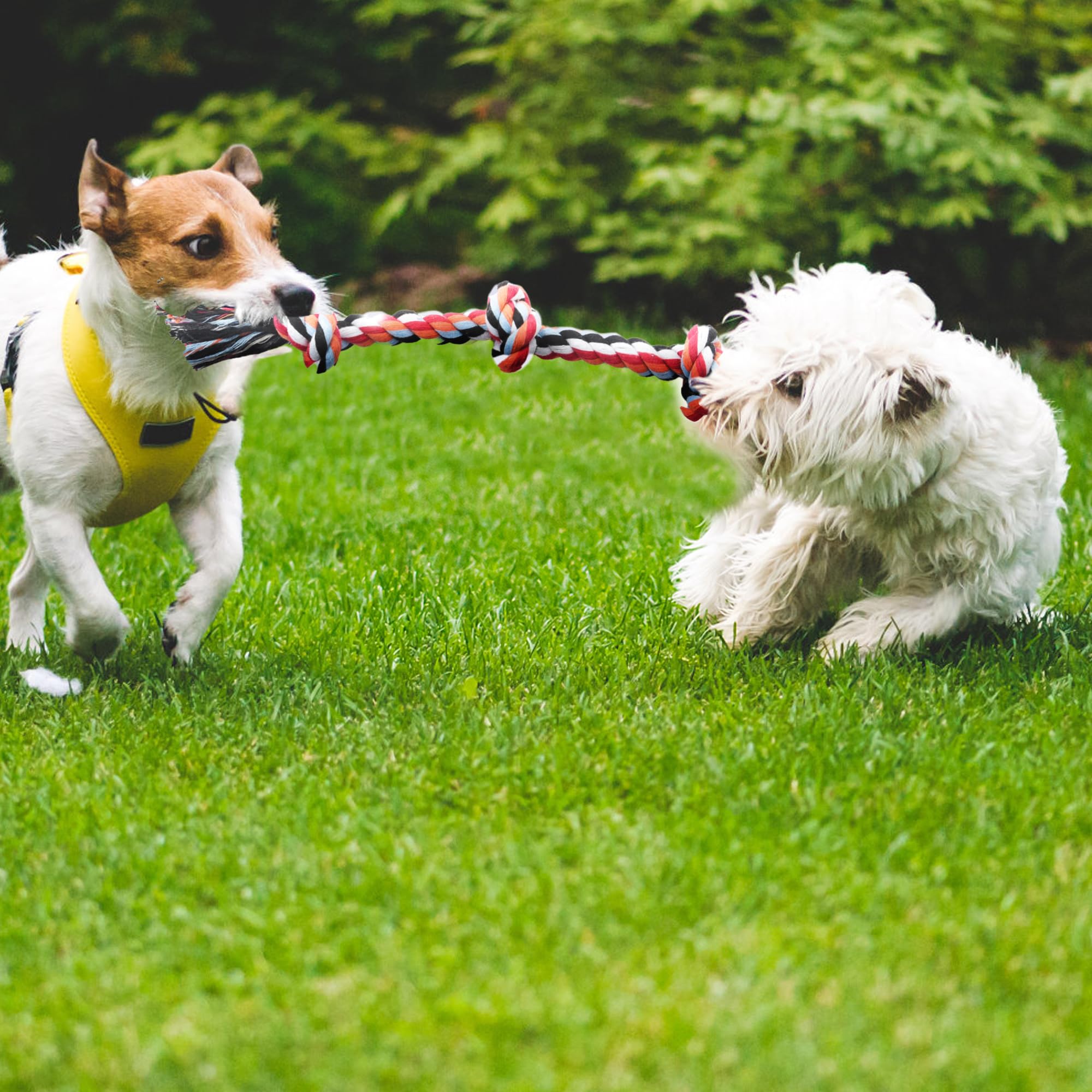 Durable 4 Pack Dog Rope Toys for Small & Medium Dogs - Indestructible Puppy Chew Toys for Aggressive Chewers - Great for Tug of War, Teeth Cleaning & Boredom Relief - Perfect for Playtime, Training & Dental Health