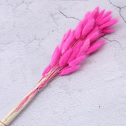 Colorful Rabbit Tail Grass Bunch - Natural Dried Flowers for Home & Wedding Decor - Easter & Christmas Decorations