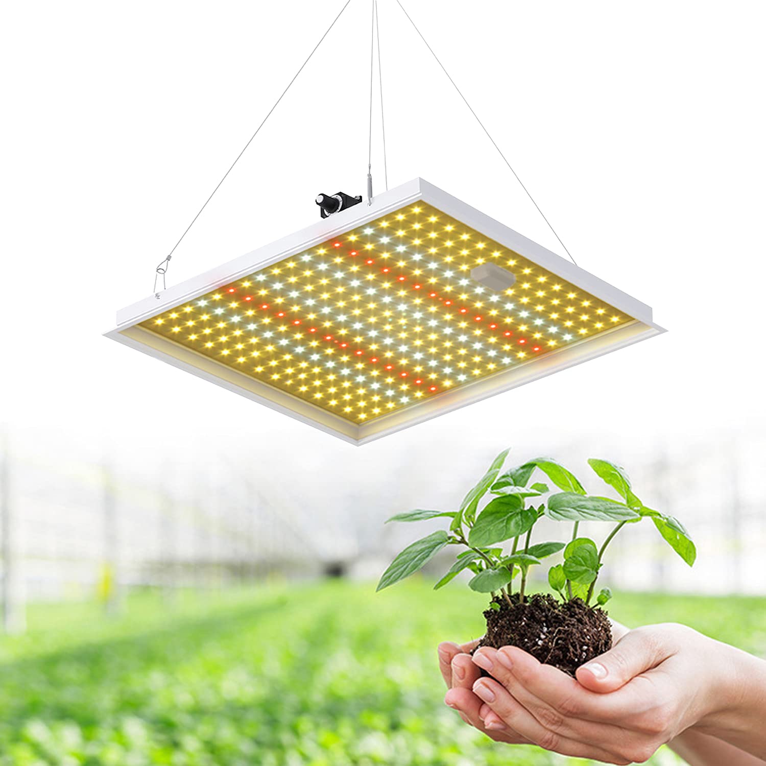 ZJING 200W/300W Full Spectrum LED Grow Light with Timer & Stepless Dimming - Indoor Hydroponic Greenhouse Lighting for Seedlings, Vegetables & Flowering Plants | Perfect for Home Gardening, Vertical Farming & Plant Growth