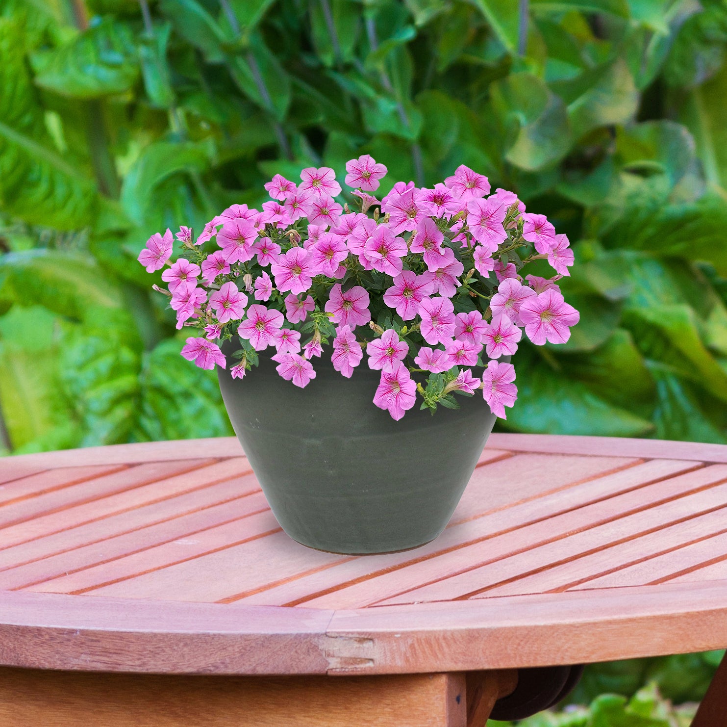Sunnydaze Resort Round Glazed Ceramic Planter with Drainage Hole - Outdoor Garden Flower Pot for Patio, Deck & Balcony Decor