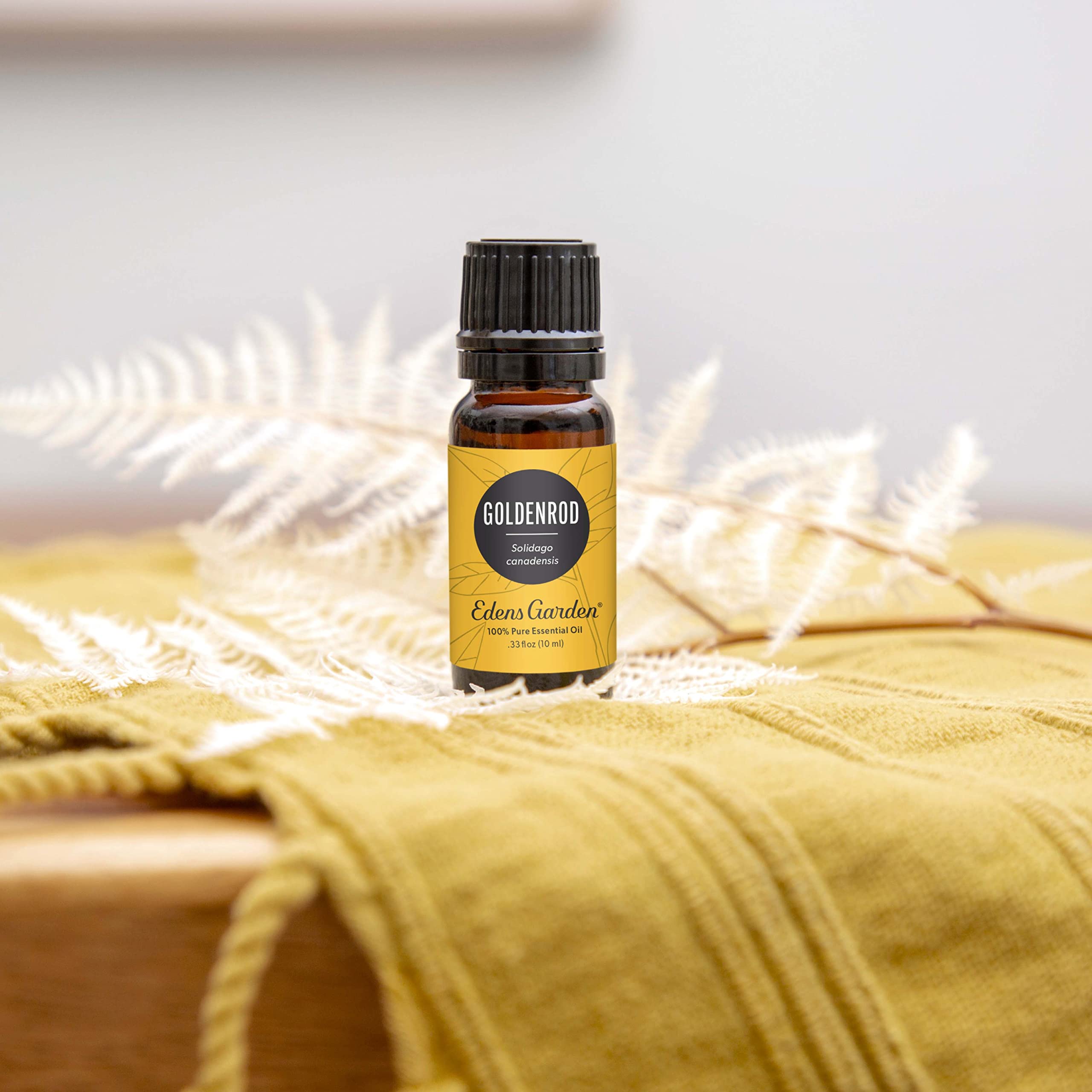 Edens Garden Goldenrod Essential Oil - 100% Pure Therapeutic Grade, Undiluted Natural Aromatherapy Oil for Diffusers, Skin Care & Humidifiers - 30ml (1 fl oz) - Perfect for Relaxation, Stress Relief & Home Spa