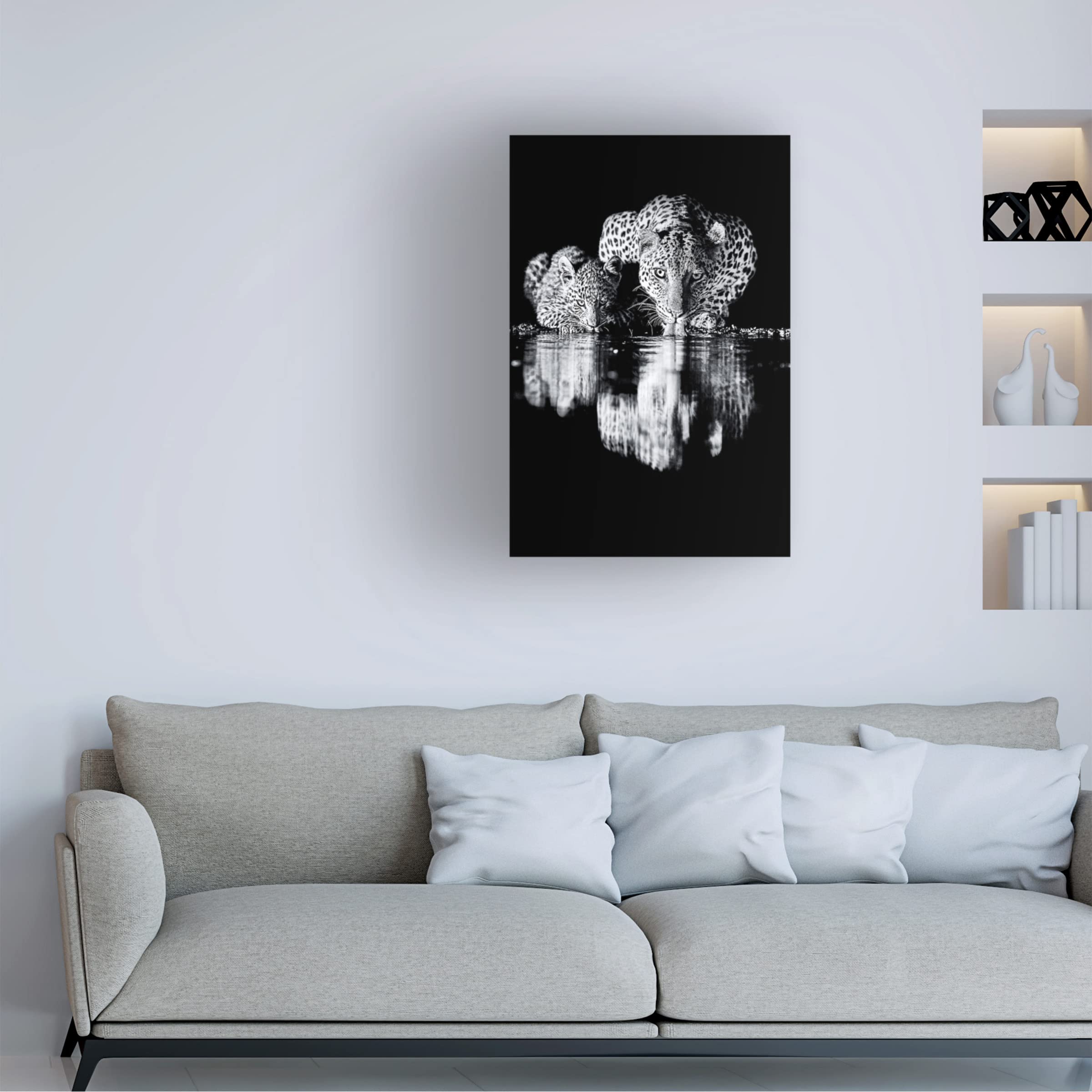 Trademark Fine Art 'Leopard' Canvas Print by Amnon Eichelberg - Stunning Wildlife Wall Decor for Living Room, Bedroom & Office