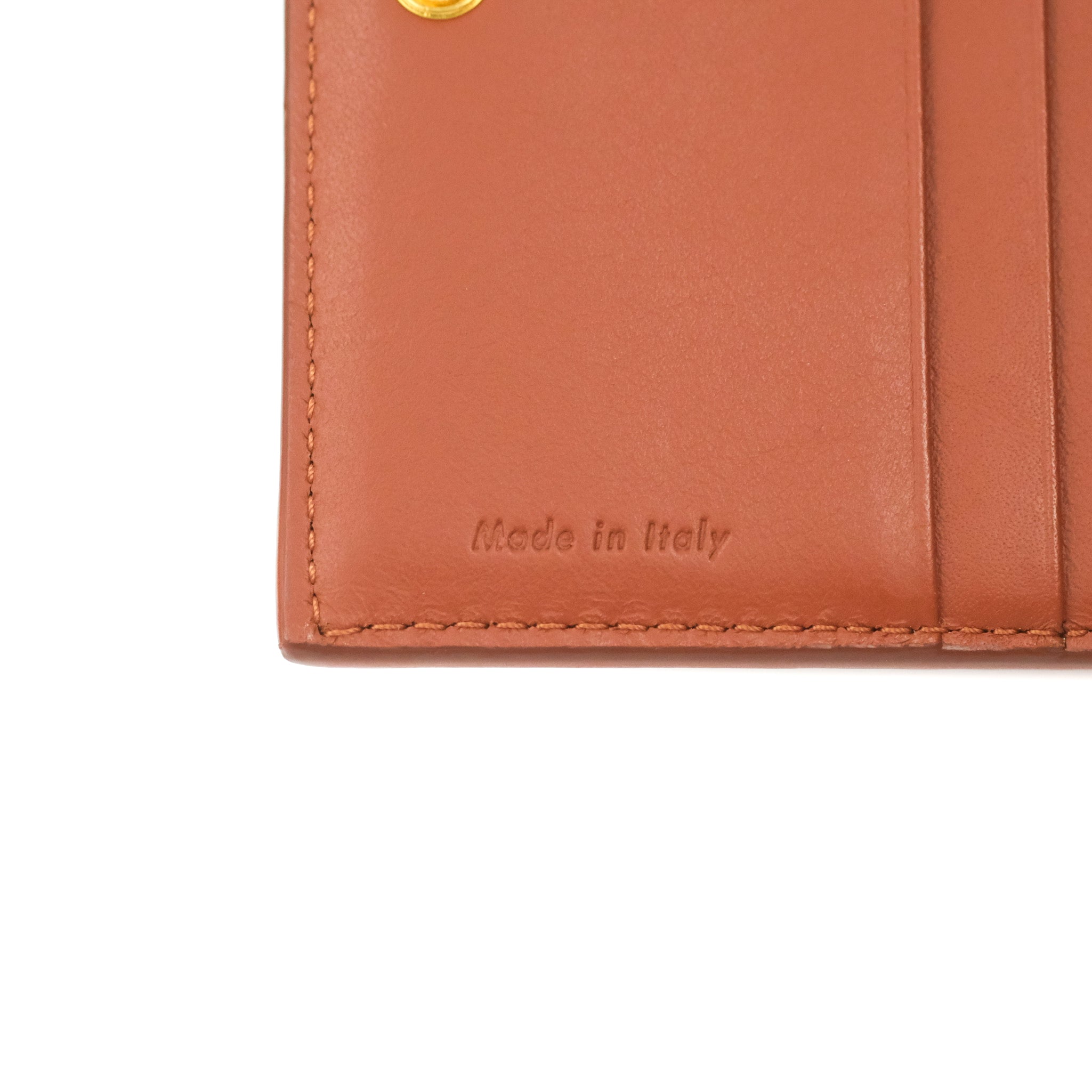 Celine Frame Wallet in Brown & Light Blue Lambskin with Gold Hardware - Luxury Women's Crossbody Bag for Everyday Use & Special Occasions