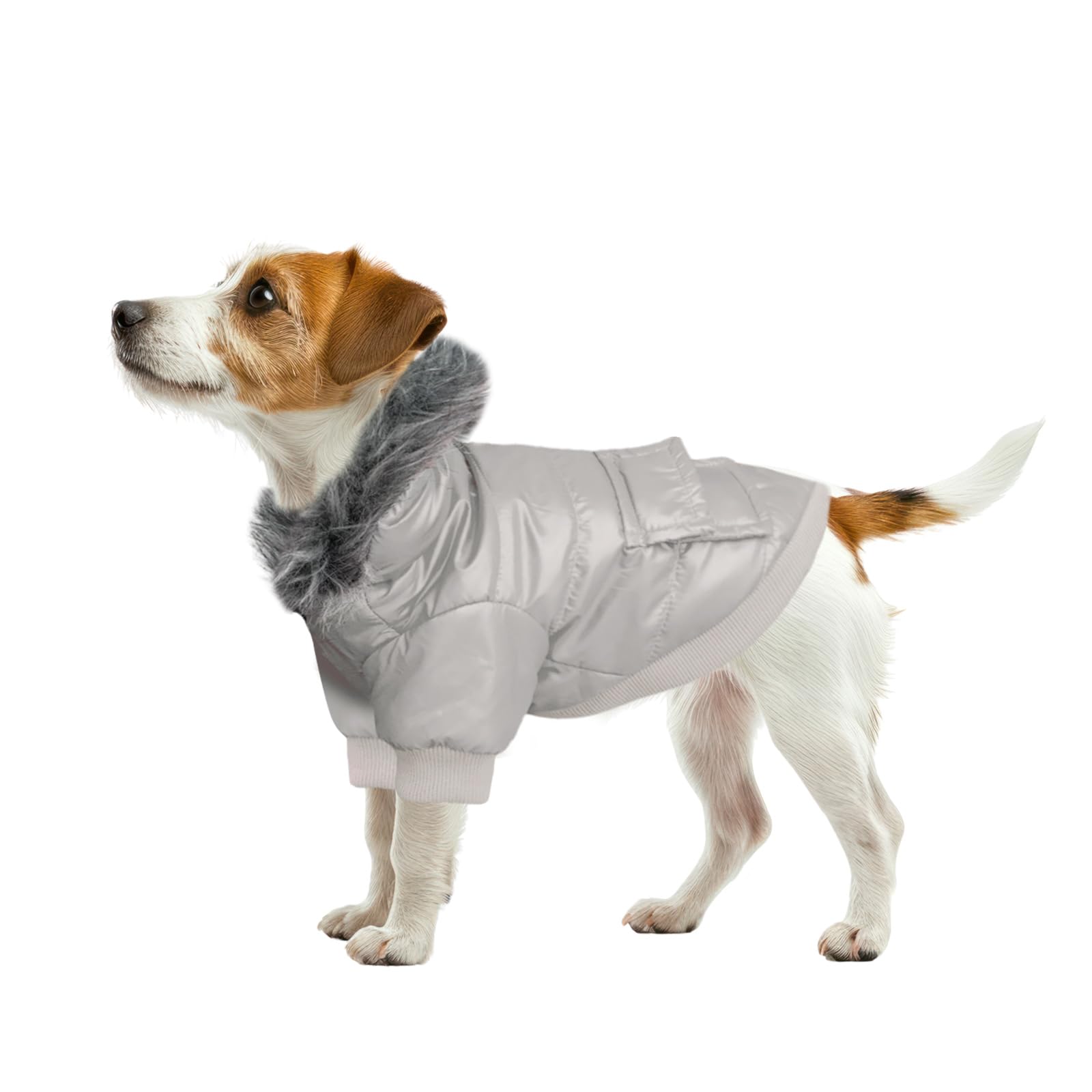 NAMSAN Winter Dog Coat - Warm Pet Hoodie Jacket for Small Dogs & Cats | Windproof Snowsuit with Leash Hole | Gray Small | Perfect for Cold Weather Walks & Outdoor Adventures