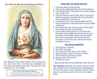 Seven Sorrows Rosary with Gemstones & Austrian Crystals - Seven Dolours Rosary Beads with Pouch - Catholic Prayer Beads for Devotion to Virgin Mary | Perfect for Meditation, Worship & Spiritual Gifts