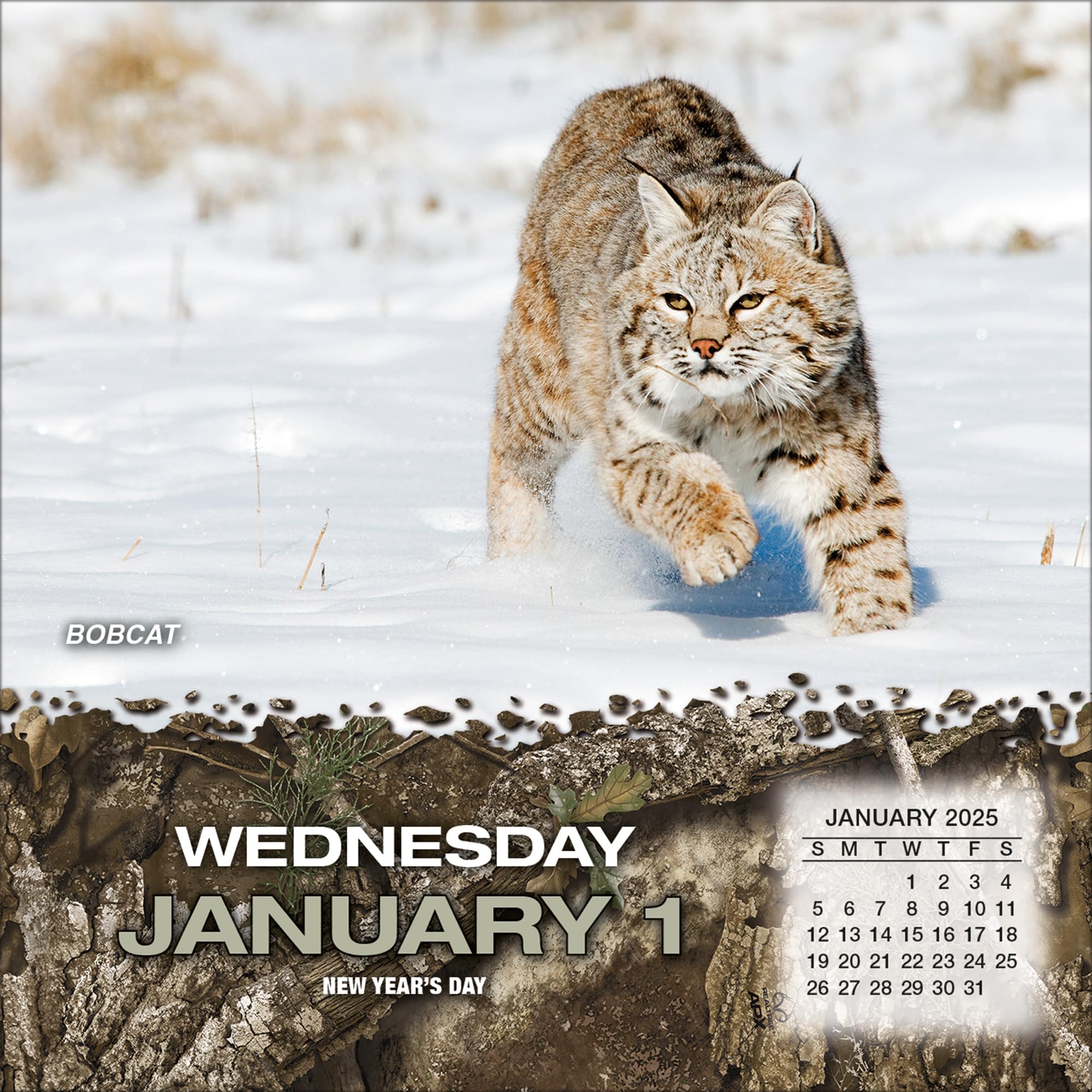 Realtree Hunted Game 2025 Wall Calendar - Hunting Theme Outdoor Sports Planner - Perfect for Hunters, Wildlife Enthusiasts & Cabin Decor (25998052013)