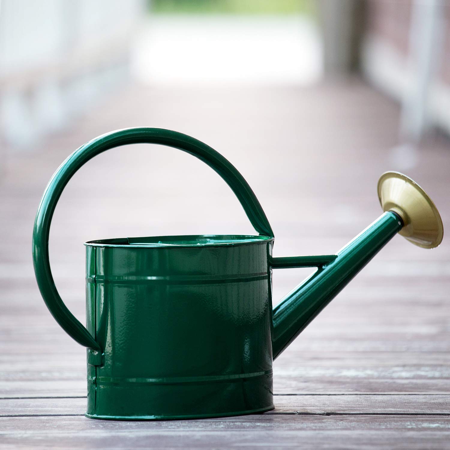 1.3 Gallon Galvanized Steel Watering Can - Farmhouse Style Decorative Watering Pot with Removable Rosette Diffuser - Ideal for Indoor Plants, Outdoor Gardens, and Home Decor (Green)