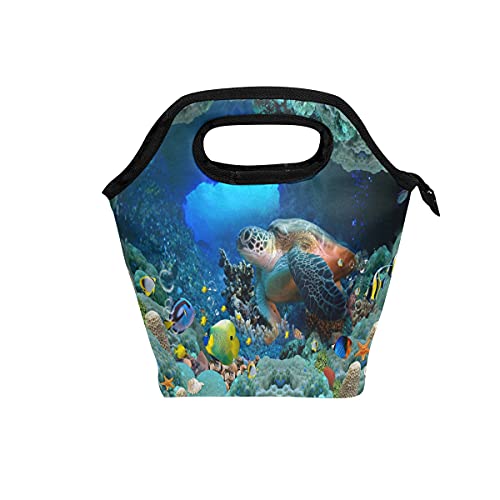 Sea Turtle Colorful Fish Starfish