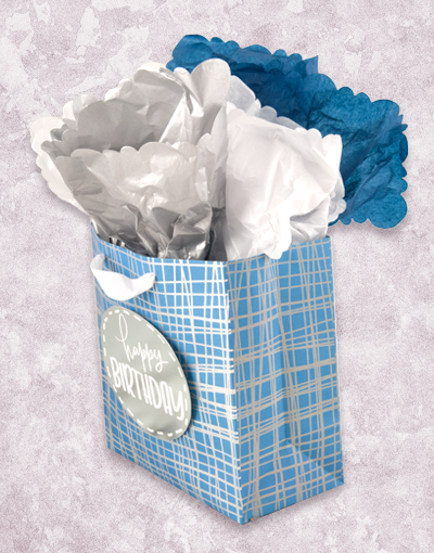 Premium Medium Square Crosshatch Design Gift Bags for Birthdays, Parties & Special Occasions - Elegant Present Wrapping Solution