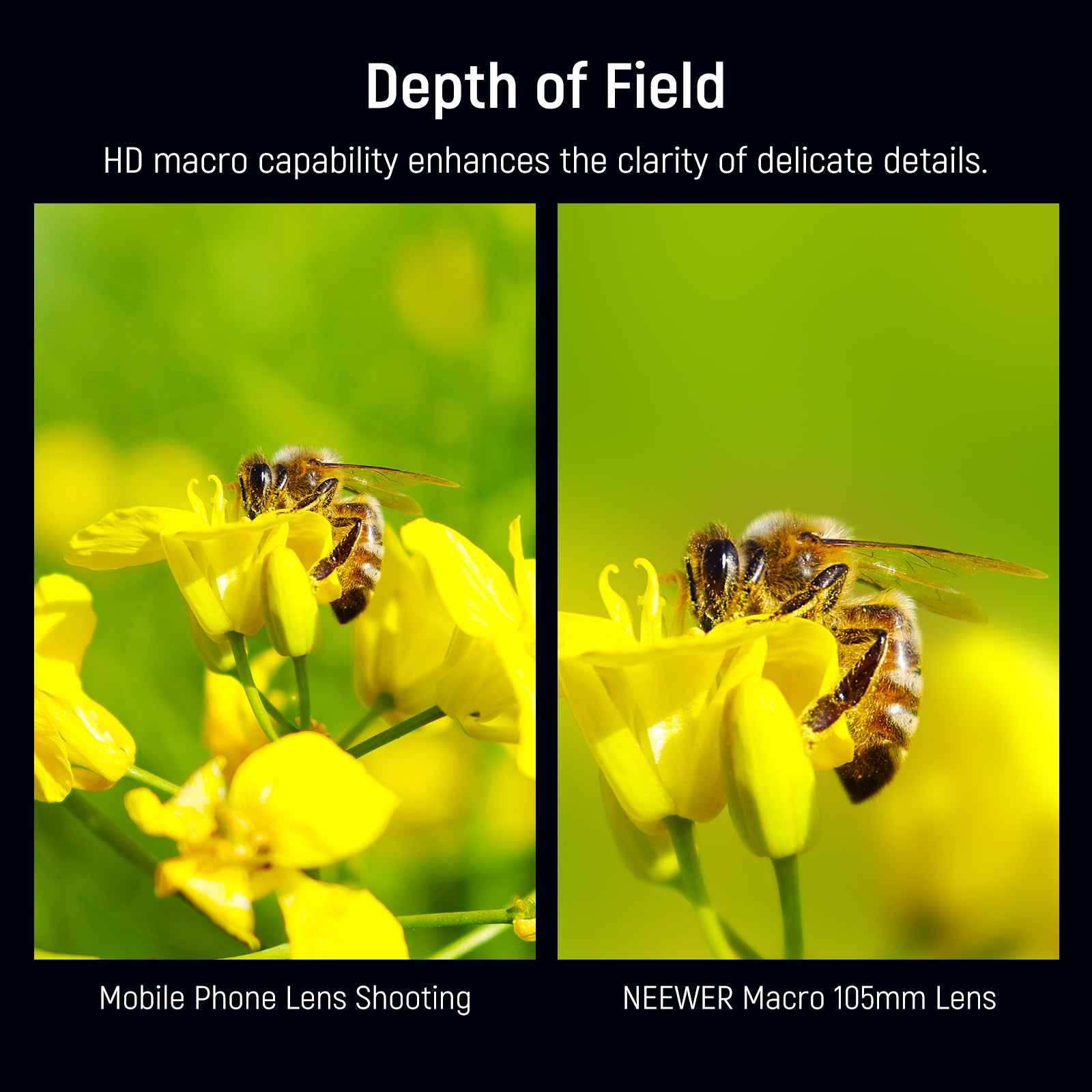 NEEWER LS 26 105mm HD Macro Lens with 17mm Thread - Professional Close-Up Photography for DSLR Cameras - Perfect for Product Shots, Jewelry Photography & Nature Macro Shots