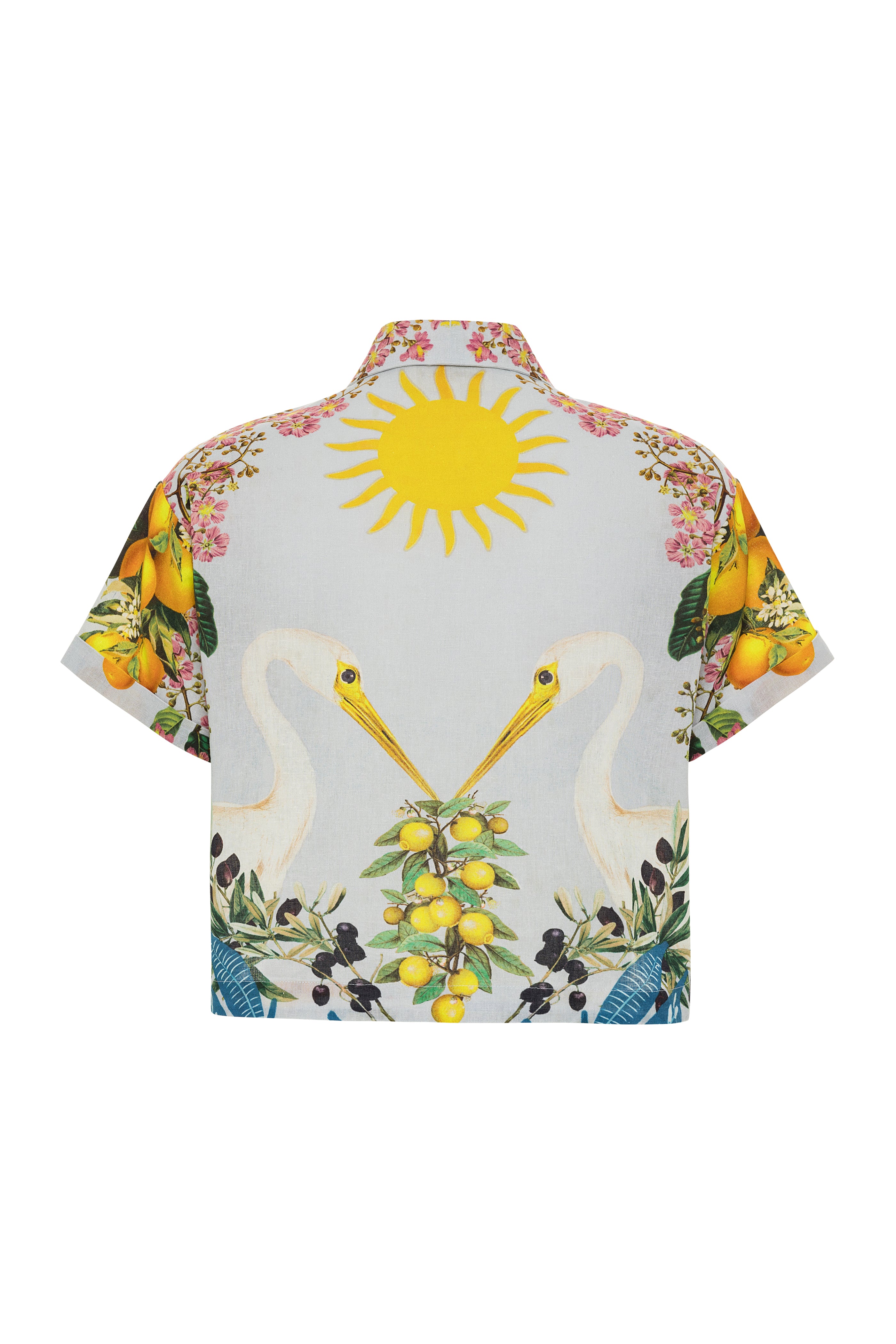 Pina Shirt Women's Casual Button Down Top - Final Sale | Perfect for Office, Date Night & Summer Outfits