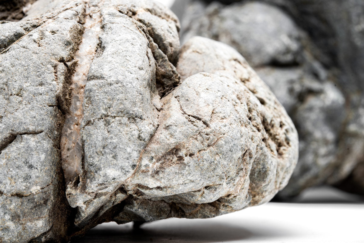 Marsh Stone - Natural Decorative Stones for Landscaping, Aquariums & Terrariums | Perfect for Garden Pathways, Ponds & DIY Projects