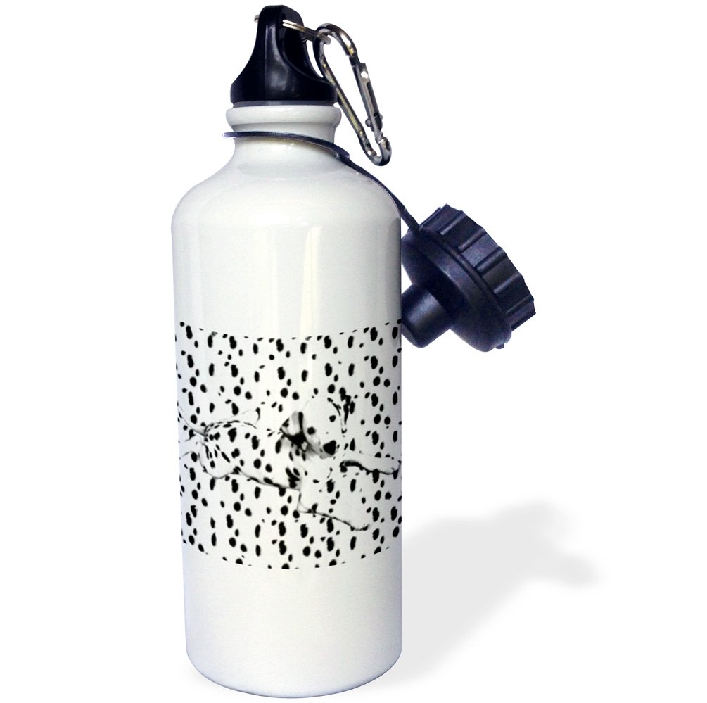 3Drose Dalmatian Spots on Spots Sports Water Bottle - 21oz Insulated Stainless Steel Gym Bottle - Perfect for Workouts, Hiking & Outdoor Activities - BPA Free White Water Bottle