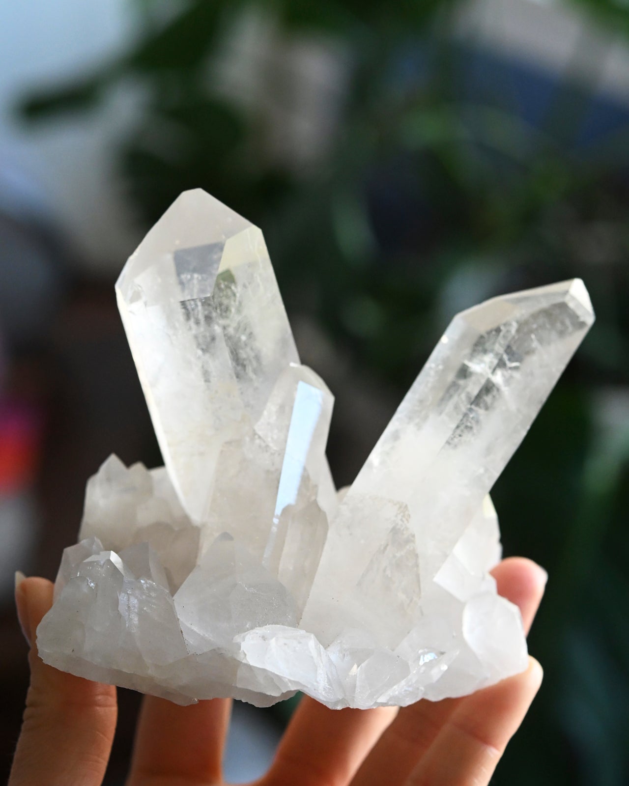 Natural Quartz Cluster - 1lb Raw Crystal Specimen for Healing, Meditation & Home Decor | Perfect for Reiki, Feng Shui & Spiritual Practices