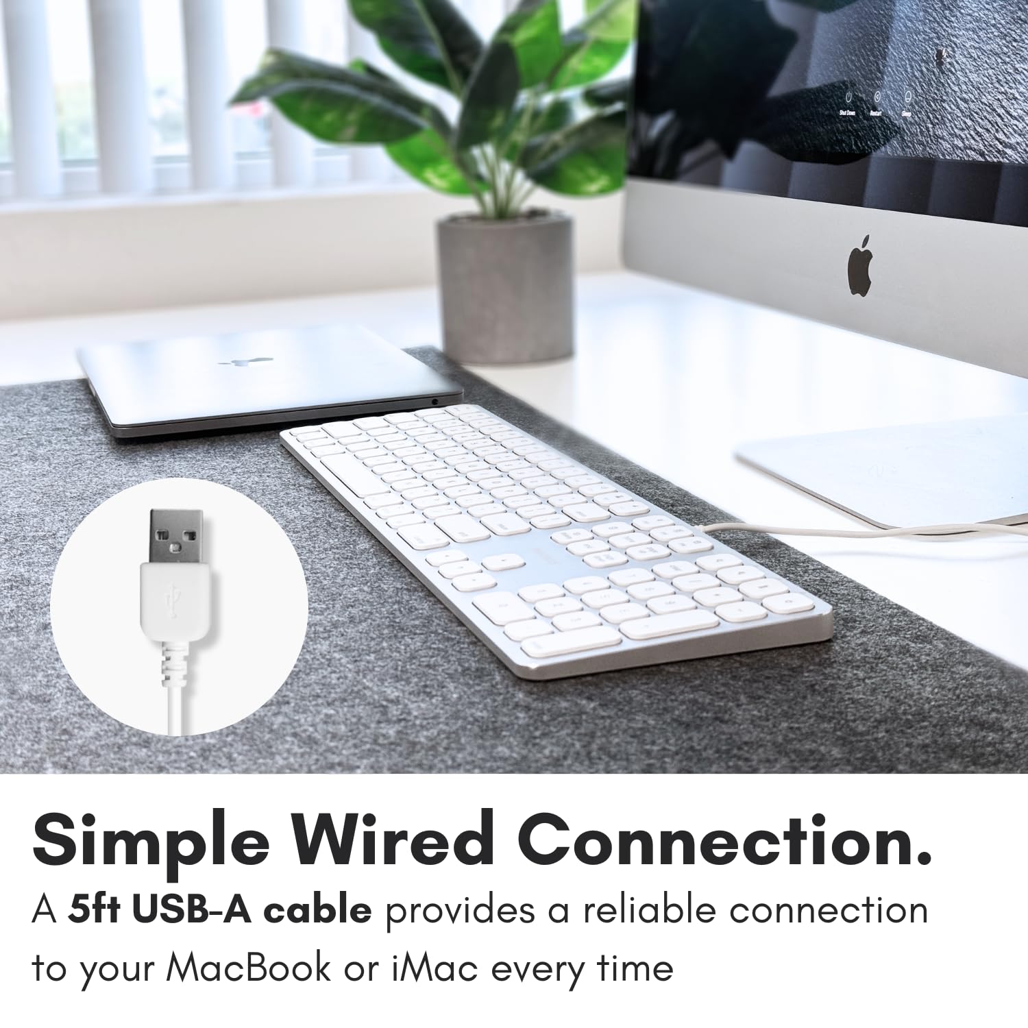 Macally Full-Size Mac Keyboard with Number Pad - USB Hub for MacBook Pro/Air (Silver) - Perfect for Office & Creative Work