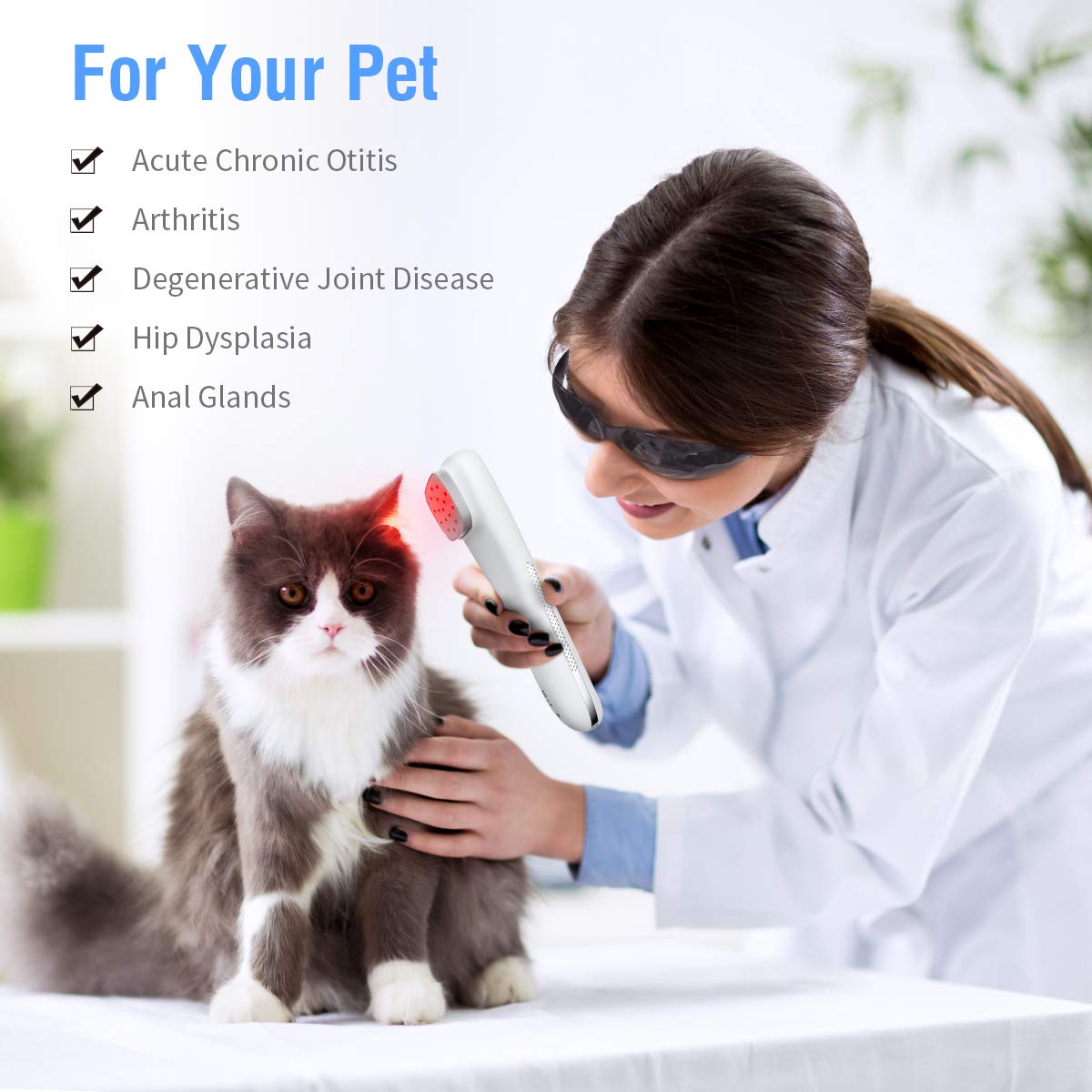 Red Light Therapy Device for Pain Relief - 13x650nm & 3x808nm LED, 4 Power & Timer Settings - Handheld Cold Laser Therapy for Shoulder, Back, Knee, Joint & Muscle Pain - Also Safe for Dogs, Pets & Horses - Perfect for Home Use, Sports Recovery & Chronic Pain Management