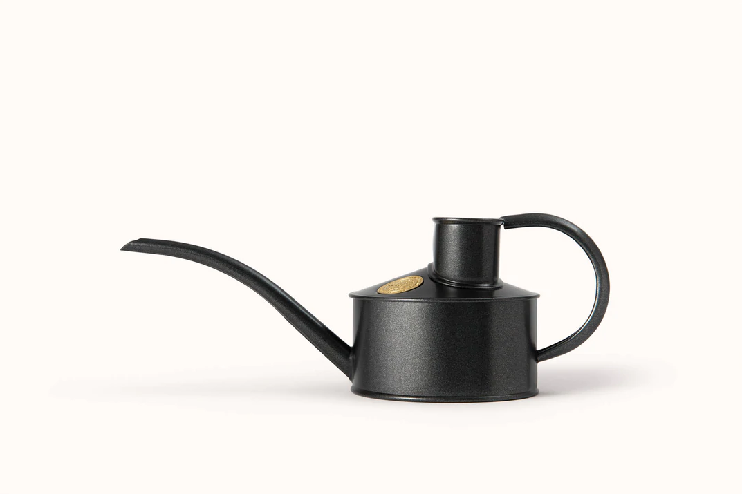 Haws 'The Fazeley Flow' 0.5L Watering Can in Graphite - Premium Indoor & Outdoor Plant Watering Can for Home Garden, Houseplants, and Balcony Gardening