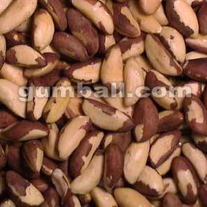 Premium Organic Brazil Nuts - 20 lbs Bulk (Raw, Unsalted) | High in Selenium & Healthy Fats | Perfect for Snacking, Baking & Cooking