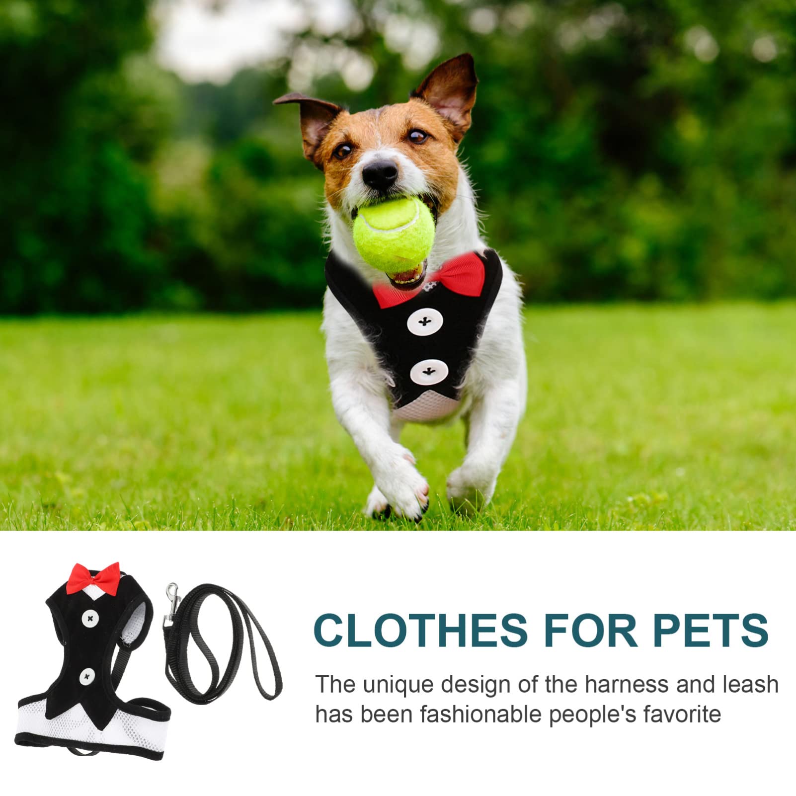 Adjustable Dog Harness for Small Dogs - Soft Puppy Chest Strap with Drawstring Belt - Pet Walking Vest for Cats & Turtles - Comfortable No-Pull Pet Accessories for Daily Walks & Outdoor Adventures