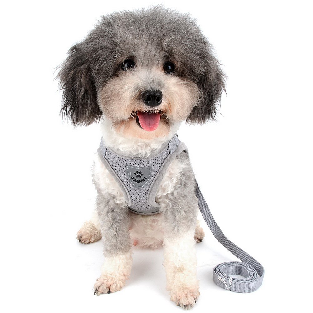 Zunea No Pull Reflective Adjustable Small Dog Harness & Leash Set - Soft Mesh Padded Step-in Puppy Vest for Walking, Escape Proof Cat Harness for Dogs & Kittens (Gray) - Perfect for Outdoor Adventures, Park Visits & Daily Walks