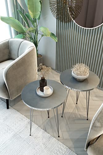 Grey High Gloss / Silver Legs