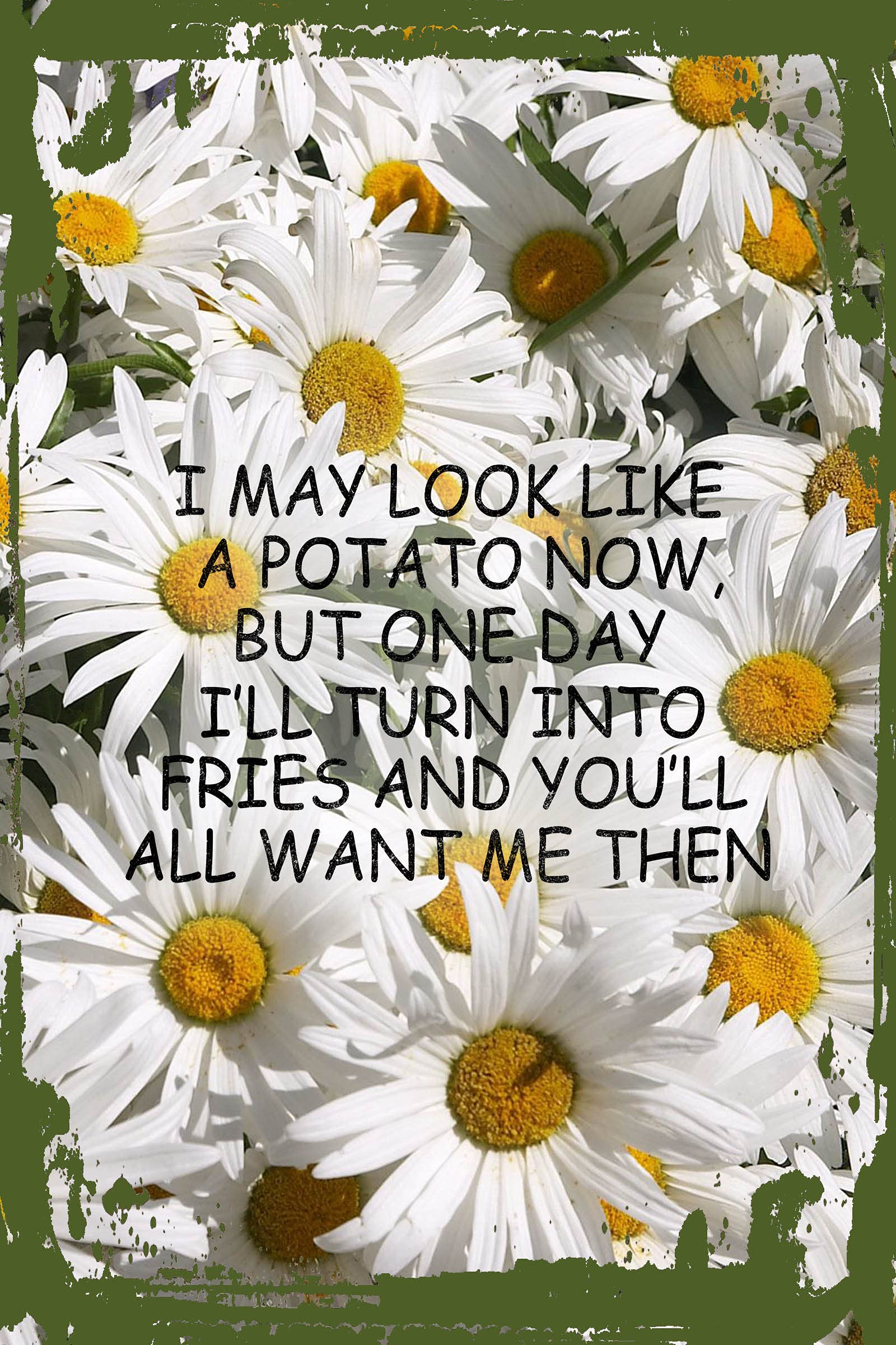 Funny Daisy Flower Wall Art Decor - 'May Look Like a Potato But I'll Turn Into Fries' Humorous Hanging Sign (8x12 Inches) - Perfect for Kitchen, Office, or Gift Giving