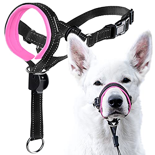 Black Nylon / Pink Padding