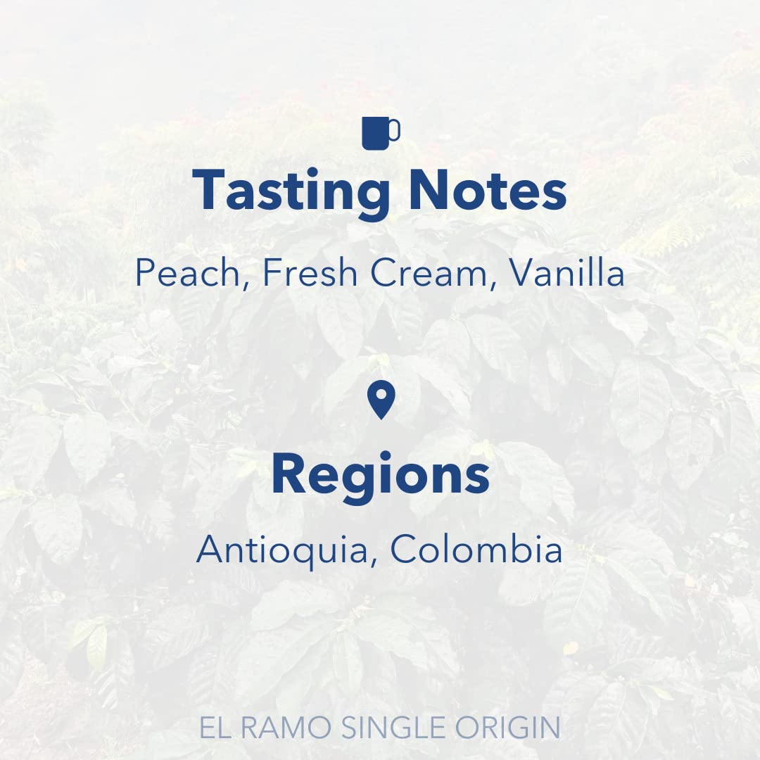 Partners Coffee, Colombia - El Ramo, Premium Whole Bean Coffee, 12 Ounce (340g) - Medium-Light Roast - Specialty Single Origin Arabica Beans for Pour Over, French Press & Espresso - Perfect for Home Brewing & Gifts
