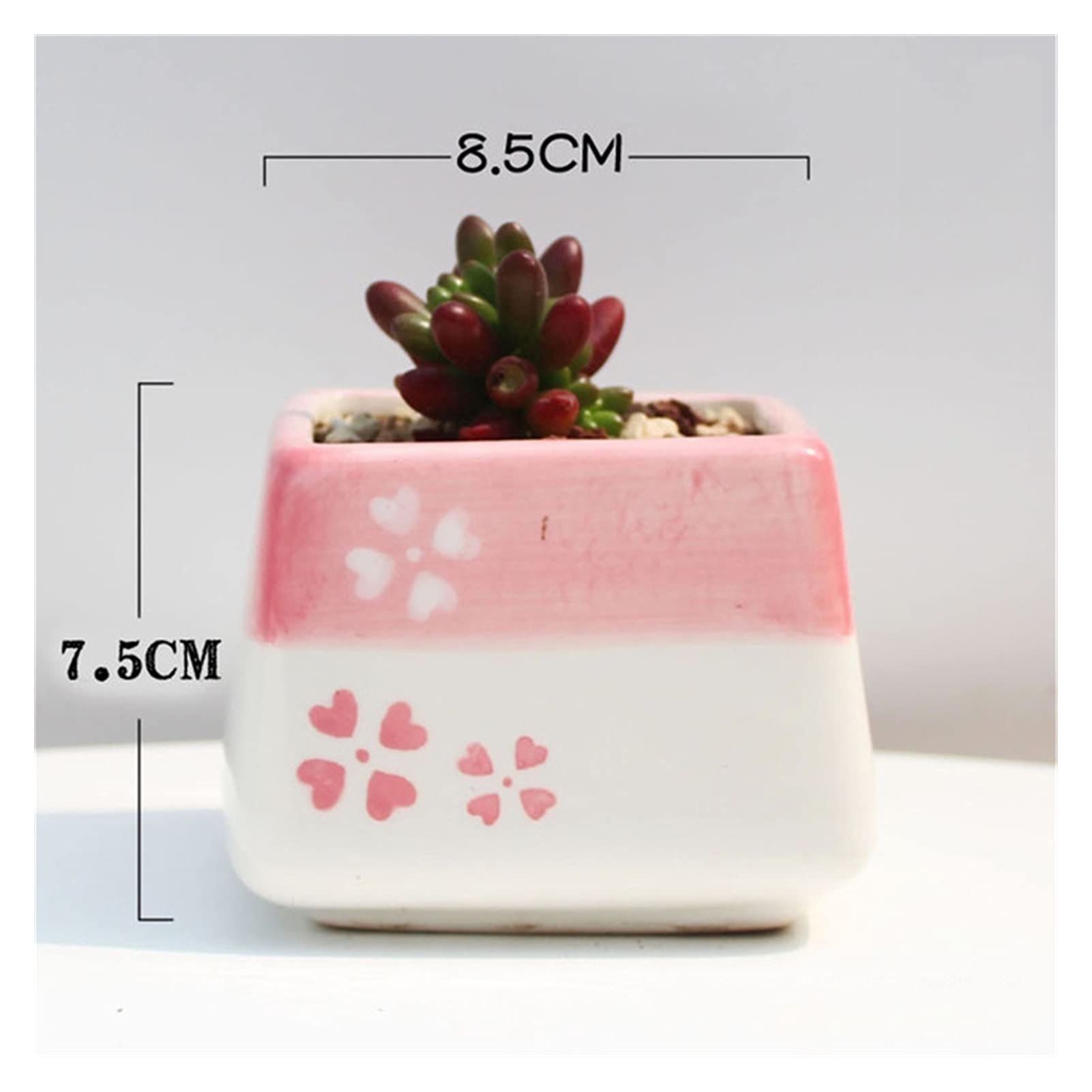 Hand-Painted Ceramic Flower Pots - Set of 8 Cute Succulent Planters with Glaze Finish for Home, Garden & Indoor Decor | Perfect for Windowsills, Office Desks & Gift Giving