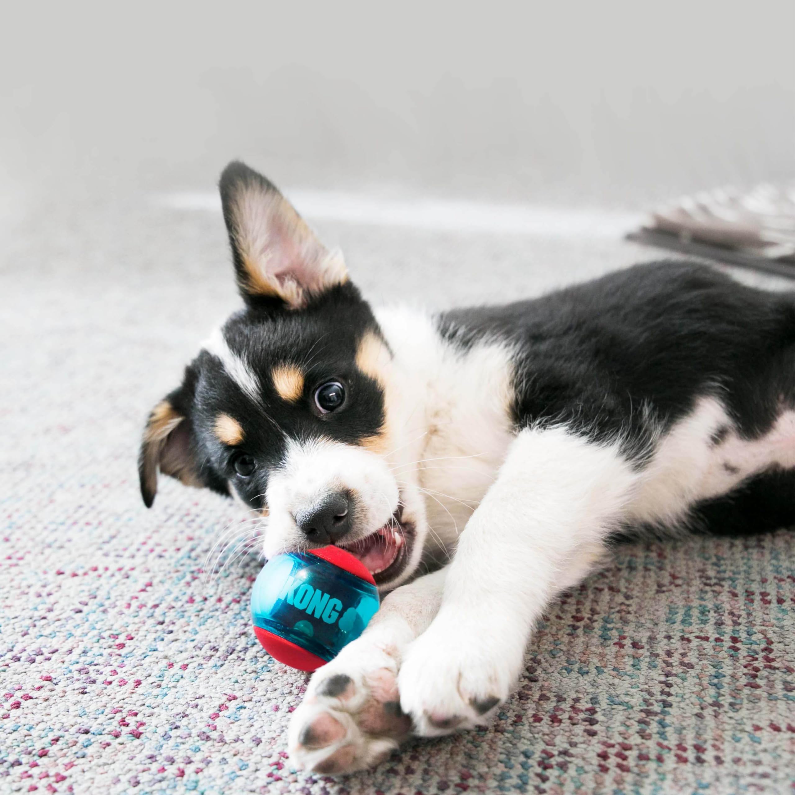 KONG Squeezz Action Dog Toy - Small, Red - Interactive Chew Toy for Puppies & Small Dogs - Perfect for Playtime & Training