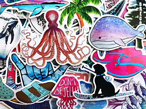 Marine Life
