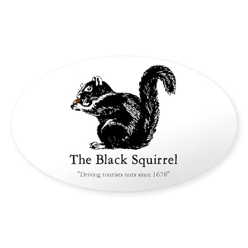 Clear - the Black Squirrel Oval Sticker