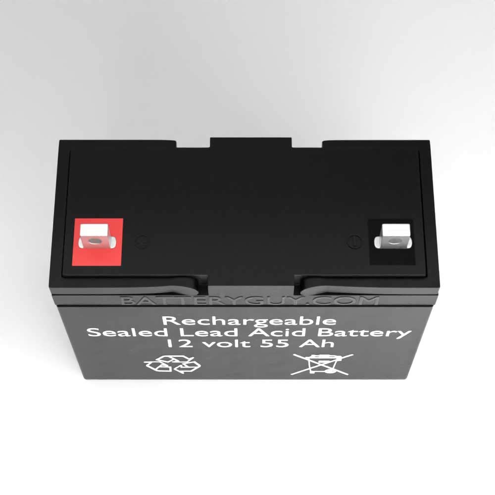 12V 55Ah SLA Replacement Battery - 2 Pack Rechargeable Sealed Lead Acid Battery for UPS, Solar Power, Emergency Backup & More