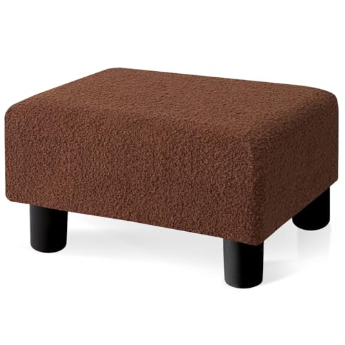 Brown,teddy Velvet
