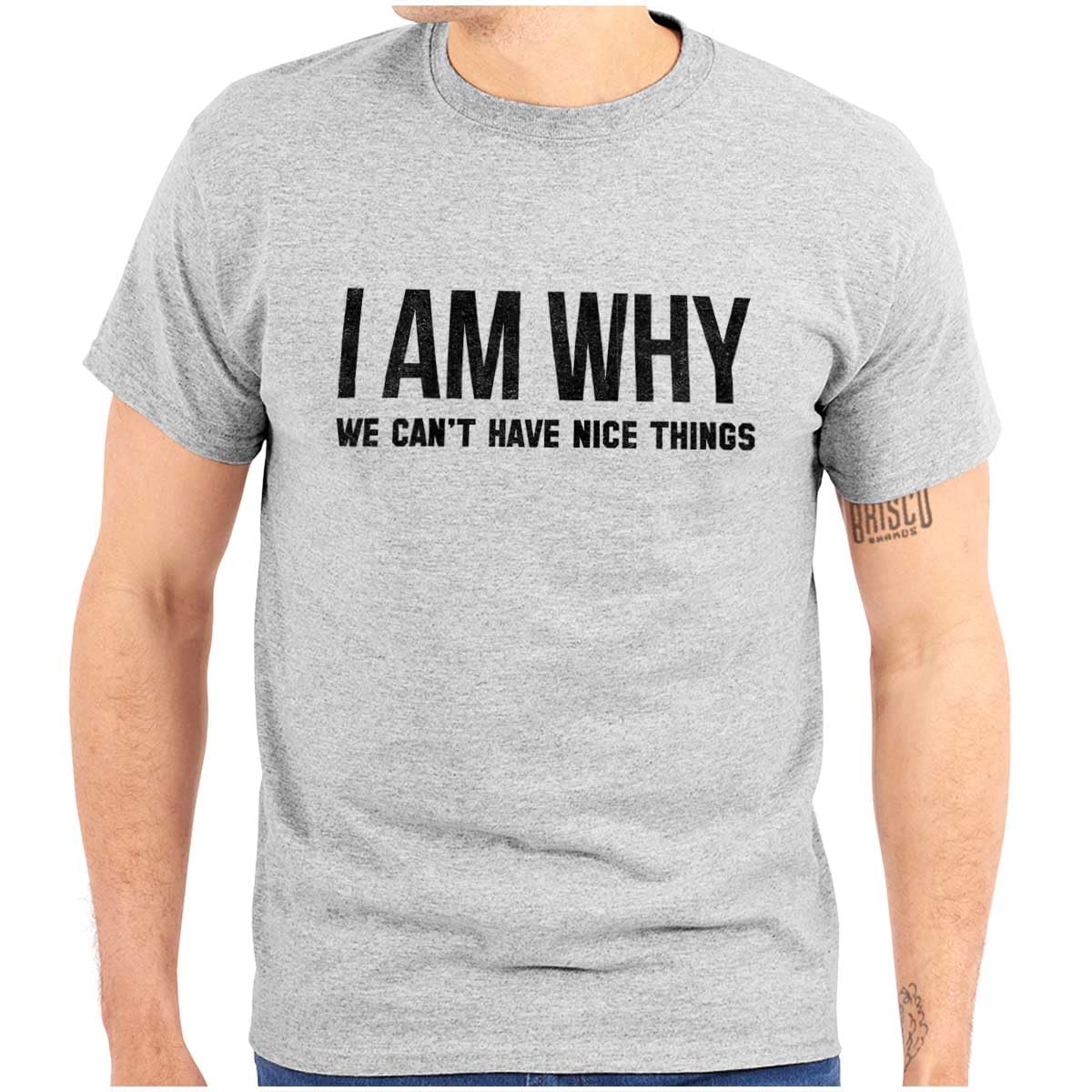 Funny Graphic T-Shirt for Men & Women - Why We Can't Have Nice Things - Perfect for Casual Wear, Gifts & Humor Lovers