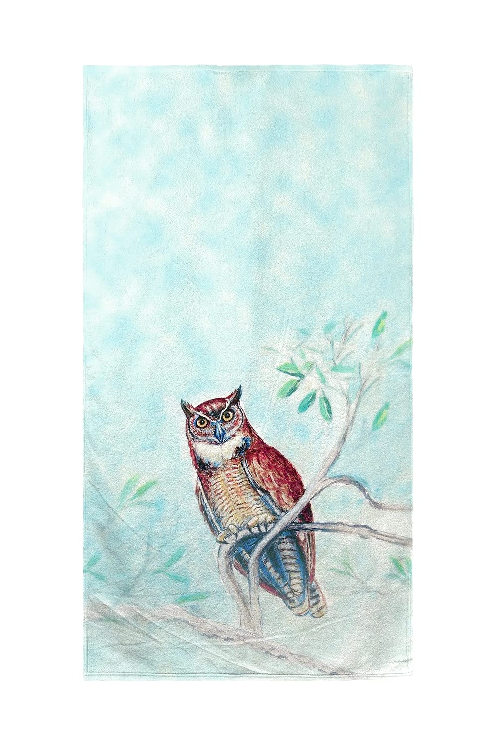 Betsy Drake Owl in Teal Beach Towel - Soft & Absorbent 40x70 Inch Oversized Towel for Pool, Beach, Yoga & Gym - Quick Dry & Sand Resistant