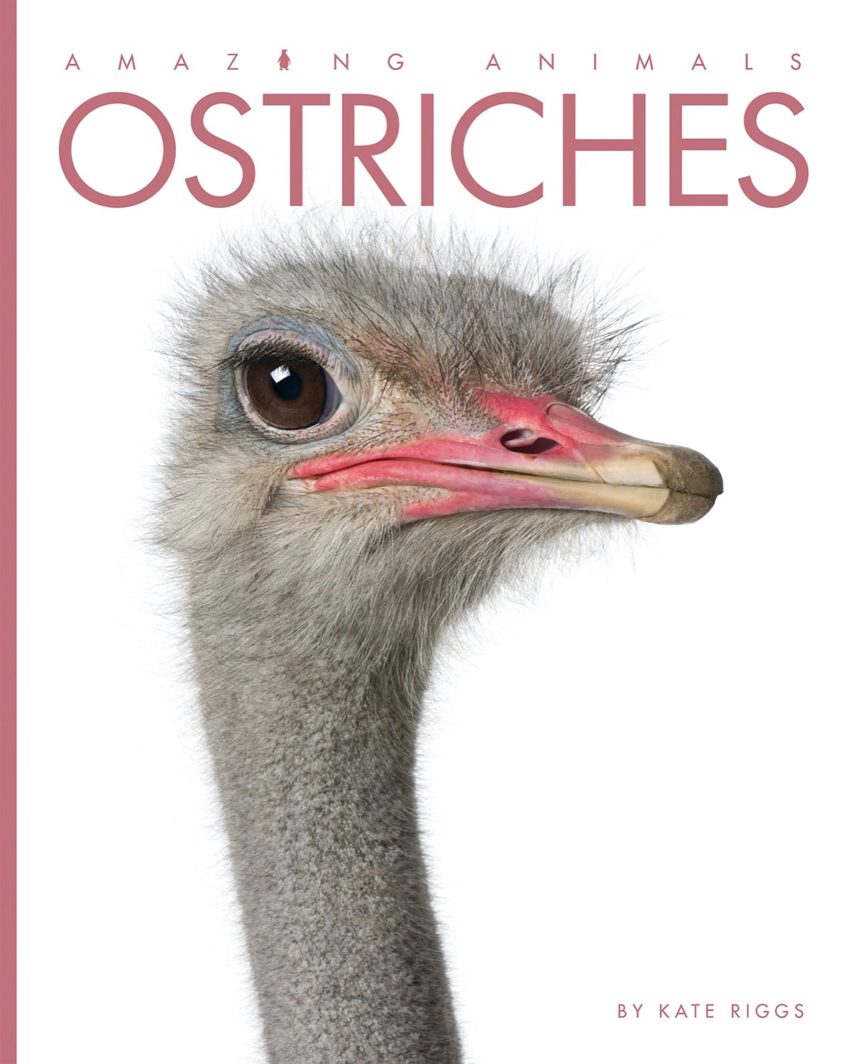 Amazing Animals (2014) - Ostriches Documentary | Wildlife & Nature Films | Perfect for Animal Lovers & Educational Use