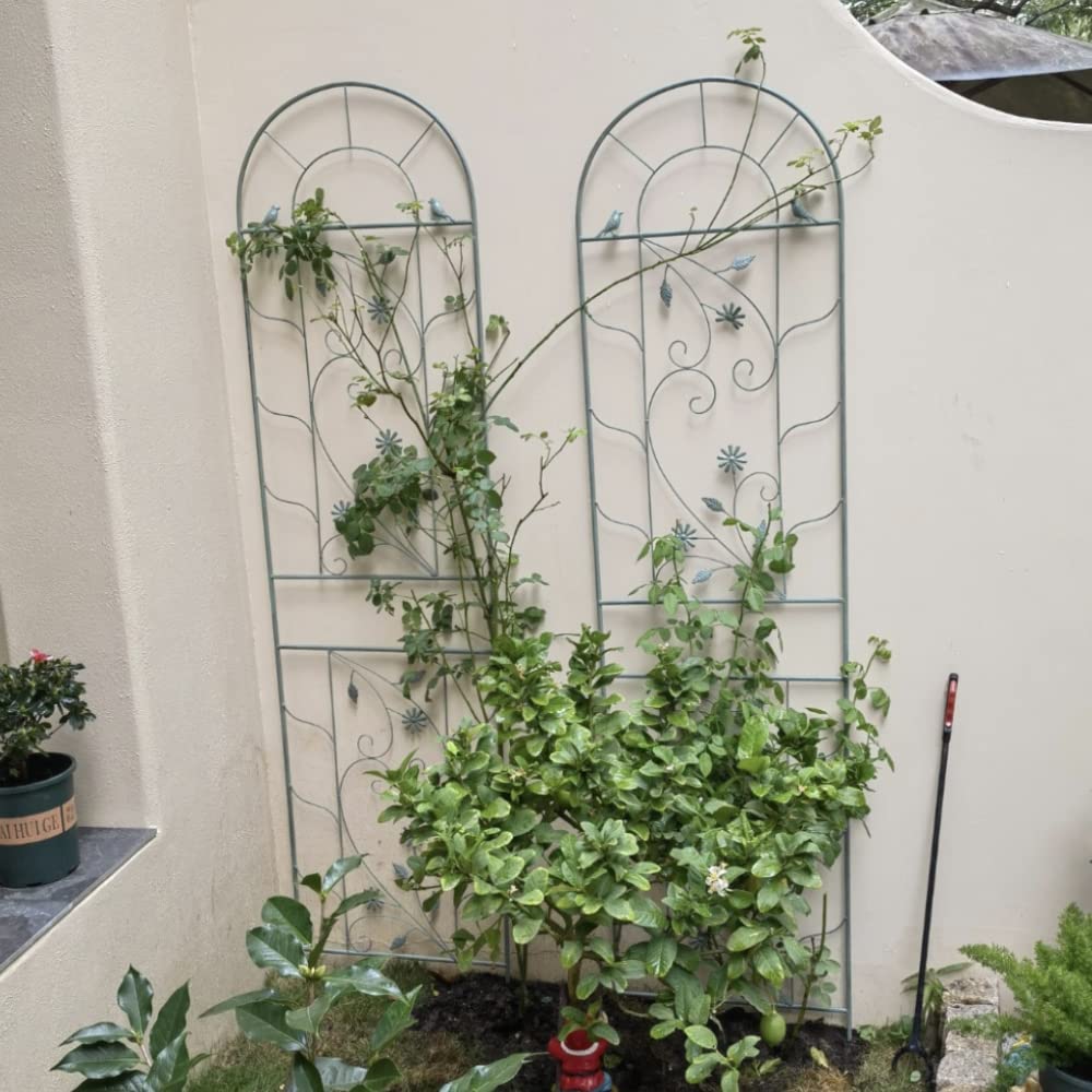 Premium 2-Pack Green Metal Garden Trellises - 210cm Tall Rustic Plant Climbing Support for Roses, Flowers & Vines | Durable Wall Mount & In-Ground Plant Stand for Outdoor Decor, Patio & Backyard Landscaping
