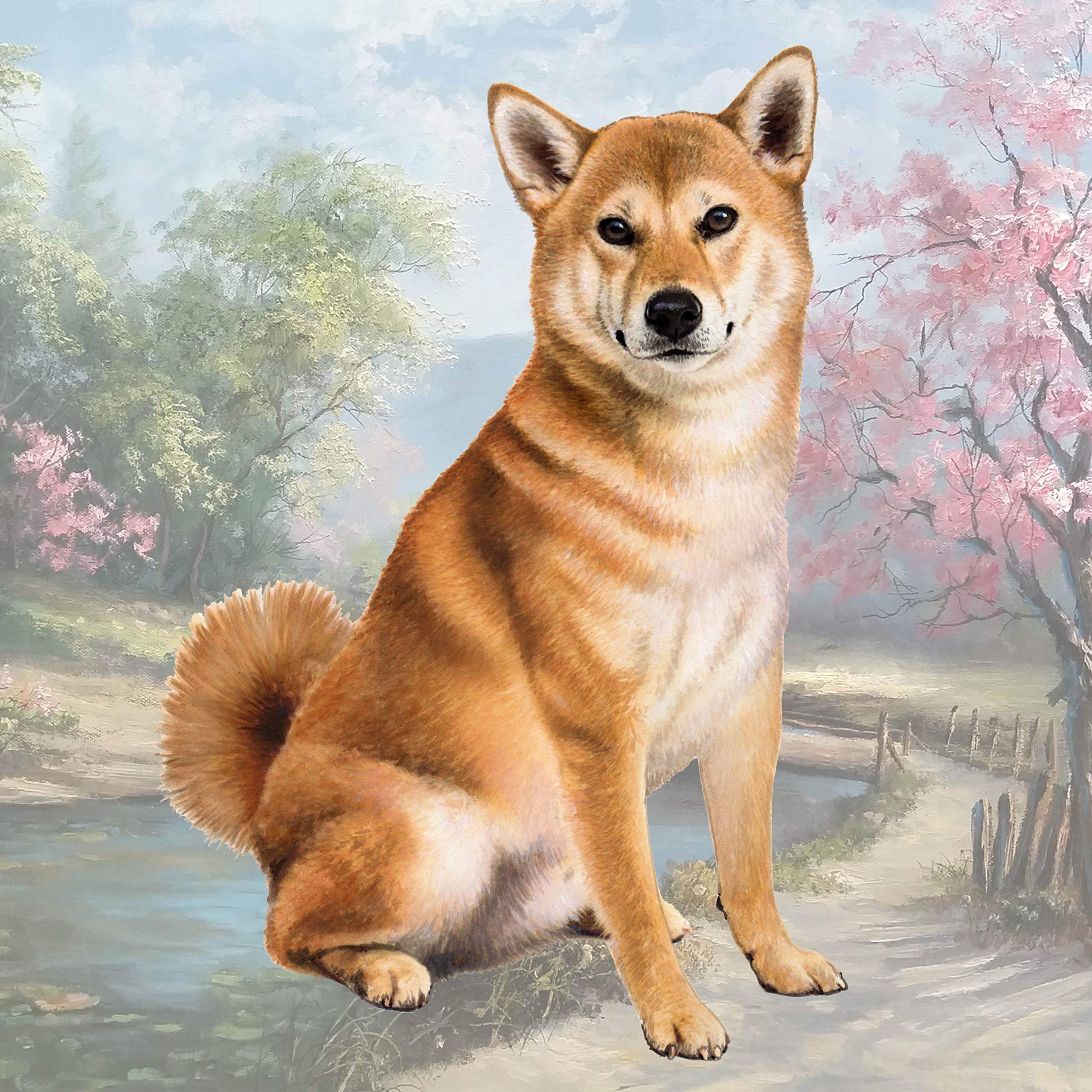Shiba Inu Absorbent Stone Coaster Set - Non-Slip Cork Back Protects Furniture from Scratches & Water Rings - Perfect for Coffee Tables, Desks, and Home Decor