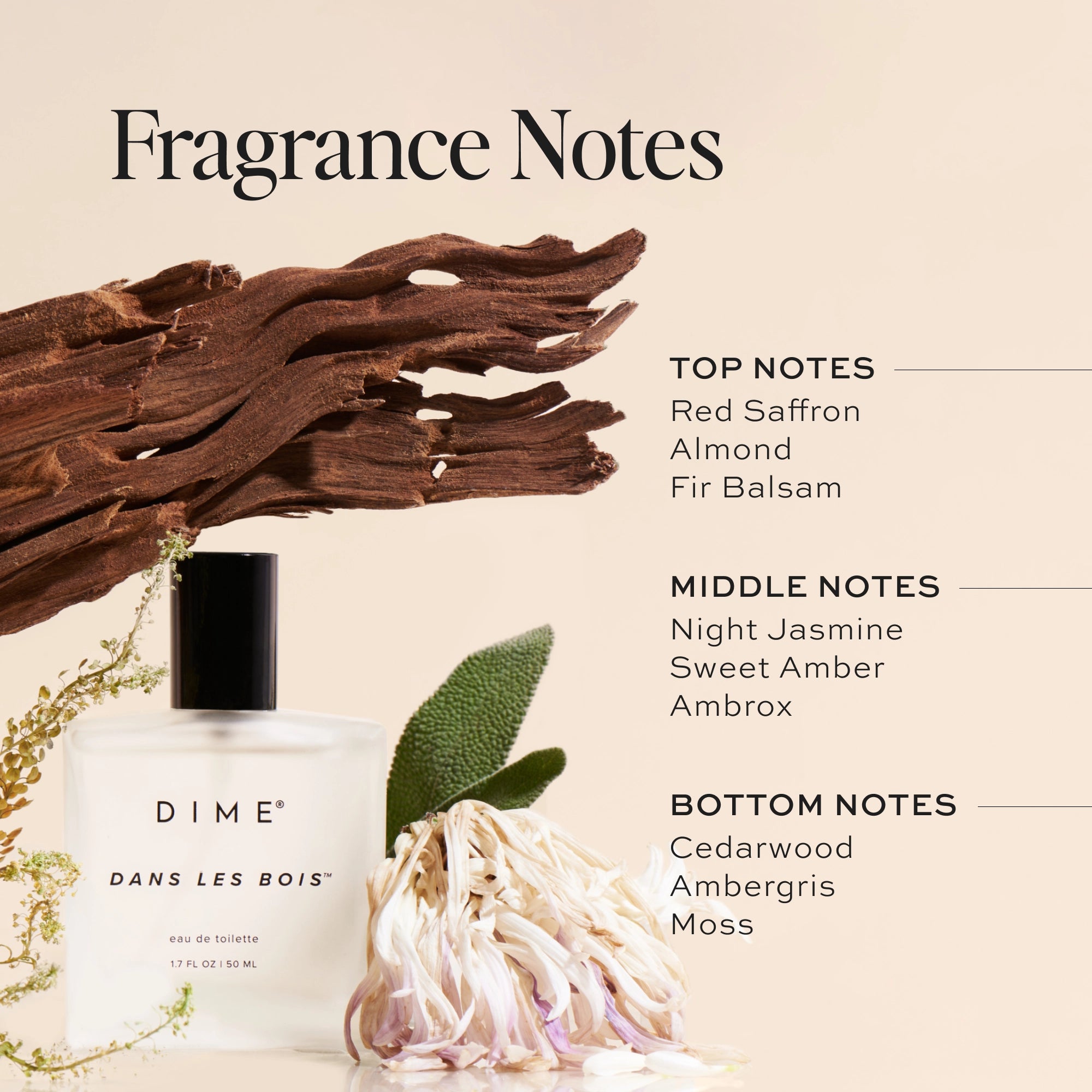 Dans Les Bois® Premium Perfume for Women - Long Lasting Floral & Woody Fragrance | Perfect for Date Night, Office & Special Occasions