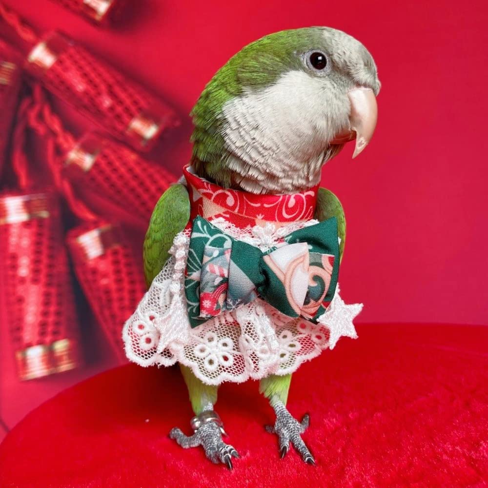 Green Eclectus Parrot Bird Costume - Soft Cloth Outfit for Small to Medium Parrots - Hand Wash Only - Perfect for Halloween, Parties & Photo Shoots