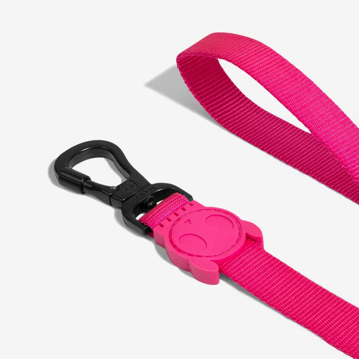 Zee.Dog Pink LED Dog Collar - Reflective & Waterproof Pet Collar for Small Medium Large Dogs - Perfect for Night Walks, Jogging & Outdoor Adventures