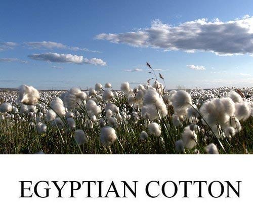 Luxurious 1000 Thread Count Egyptian Cotton Sheet Set - Ultra Soft 100% Cotton, 4-Piece Twin Size with 30