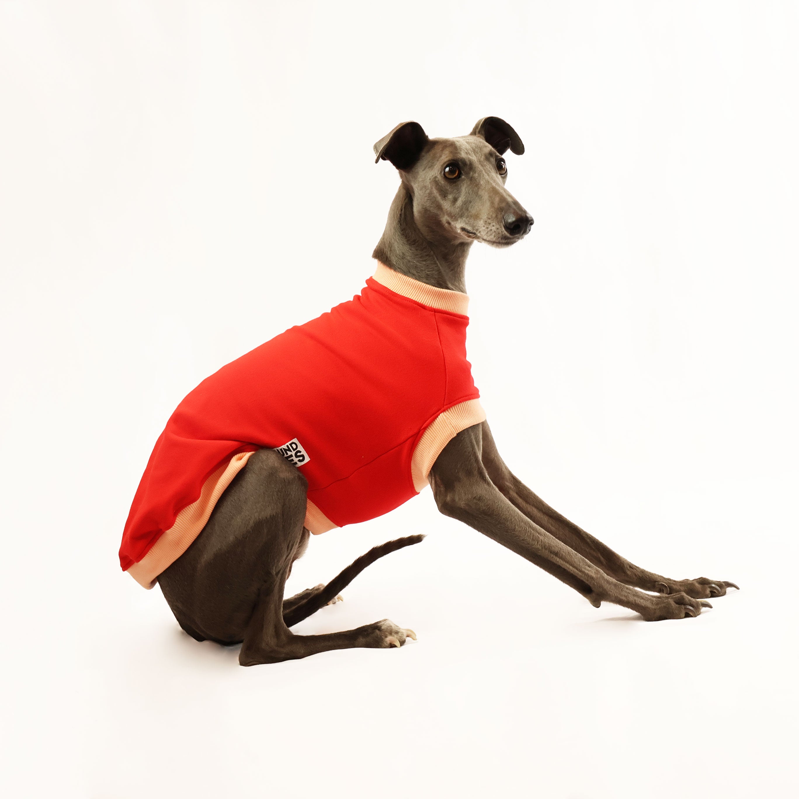 Sweet Cheeks Whippet Sleeveless Dog Sweater - Cozy Knit Vest for Small Dogs - Perfect for Indoor Comfort & Outdoor Adventures