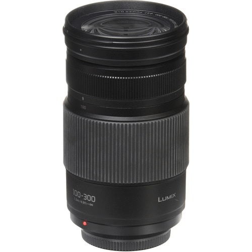 Panasonic Lumix G Vario 100-300mm f/4-5.6 II POWER O.I.S. Lens for Micro Four Thirds Cameras - Telephoto Zoom Lens with Optical Image Stabilization, Ideal for Wildlife, Sports & Travel Photography