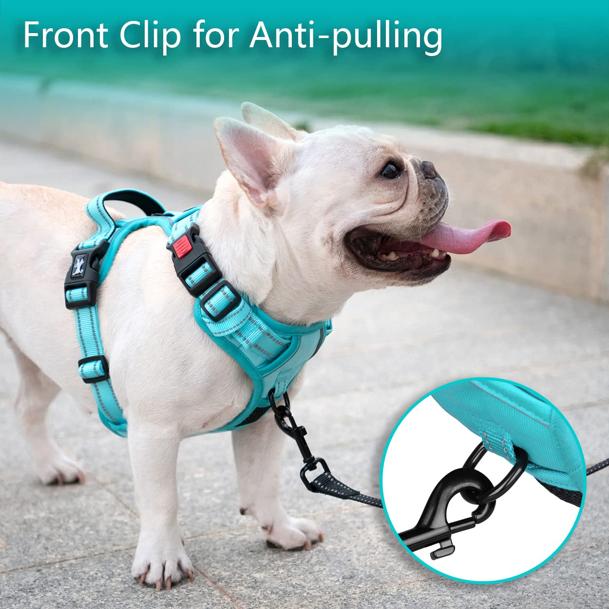 PoyPet No Pull Dog Harness - Reflective Adjustable Pet Vest with Padded Handle for Small Medium Large Dogs - Mint Blue with Matching Trim (Size L) | Perfect for Walking, Training & Nighttime Safety