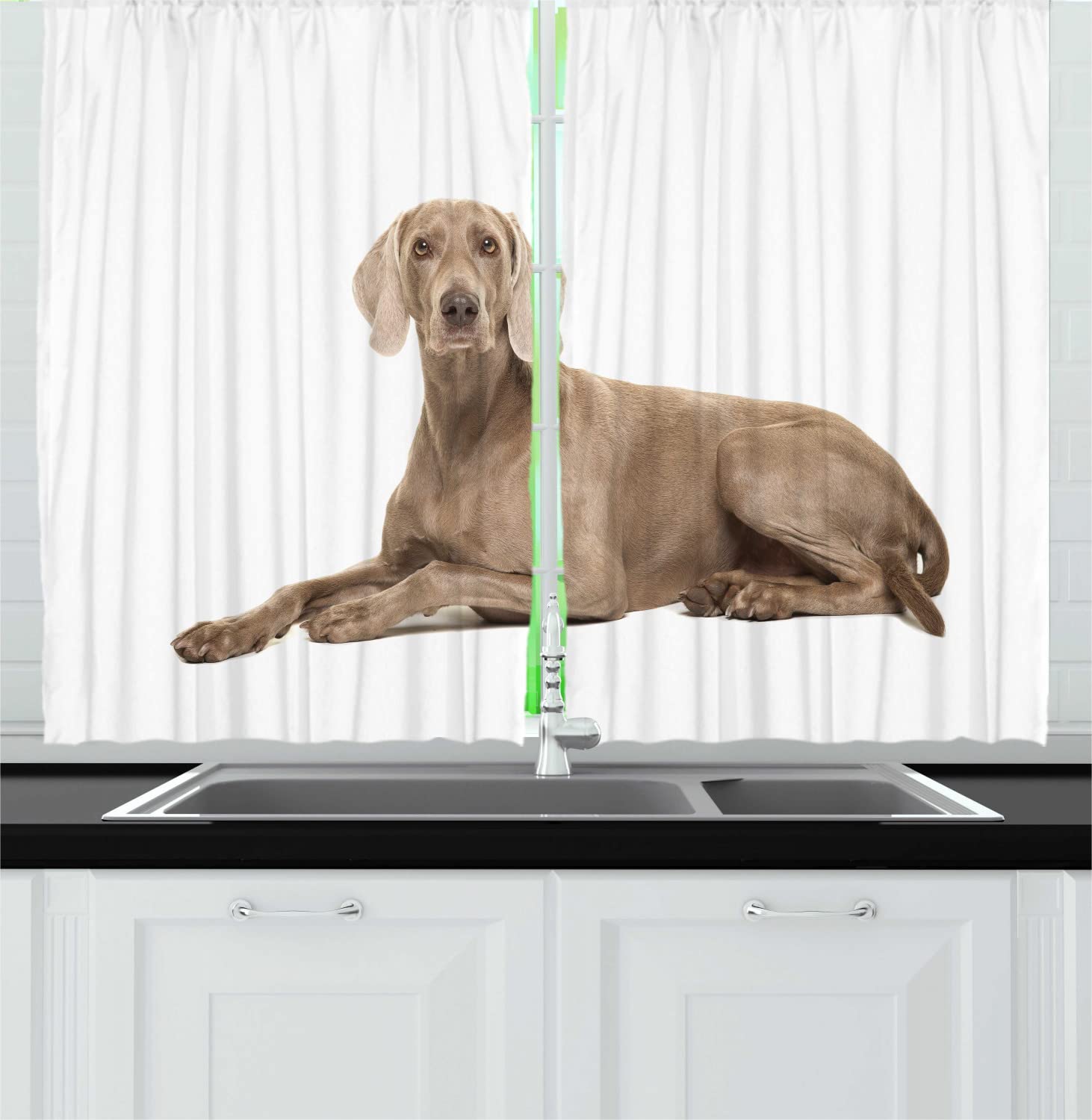 Ambesonne Weimaraner Dog Print Kitchen Curtains - Brown Ghost Hunting Dog Silhouette on Plain Backdrop, 2 Panel Rod Pocket Drapes for Living Room & Bedroom Decor, 55 x 45 Inches, White & Cocoa - Perfect for Pet Lovers' Home & Hunting Cabin Decor