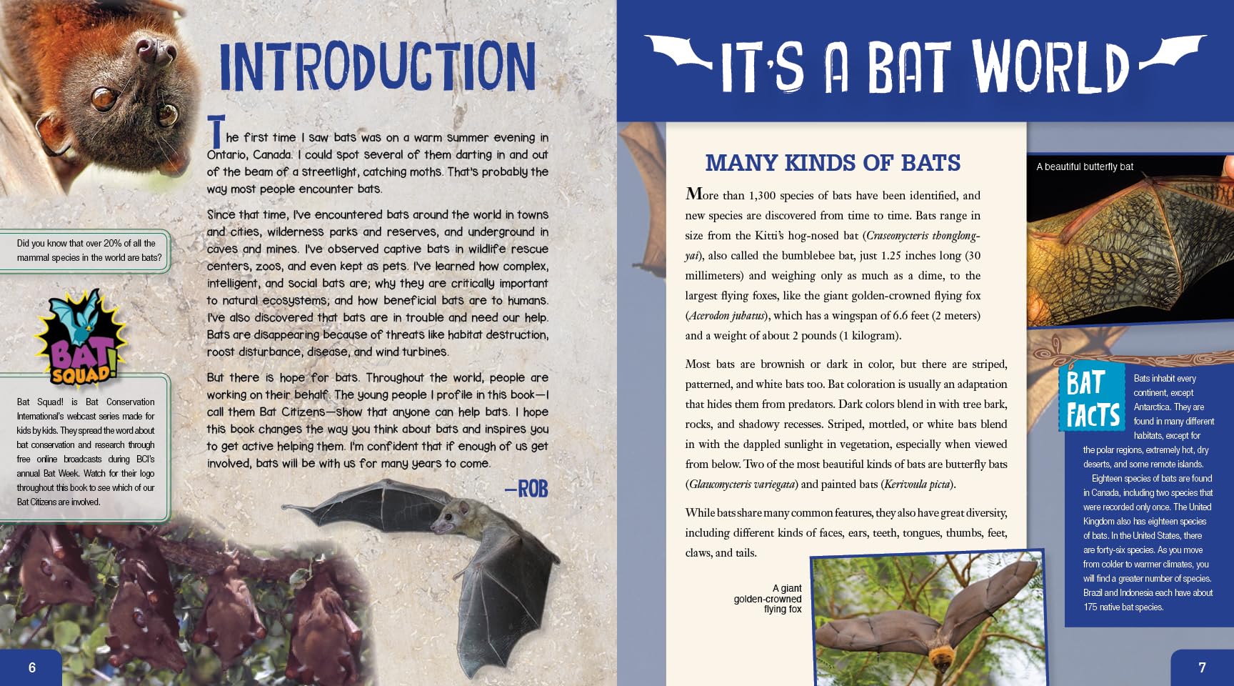 Bat Citizens: Defending the Ninjas of the Night - Book About Bat Conservation & Wildlife Protection | Perfect for Nature Lovers, Animal Activists & Eco-Friendly Gifts