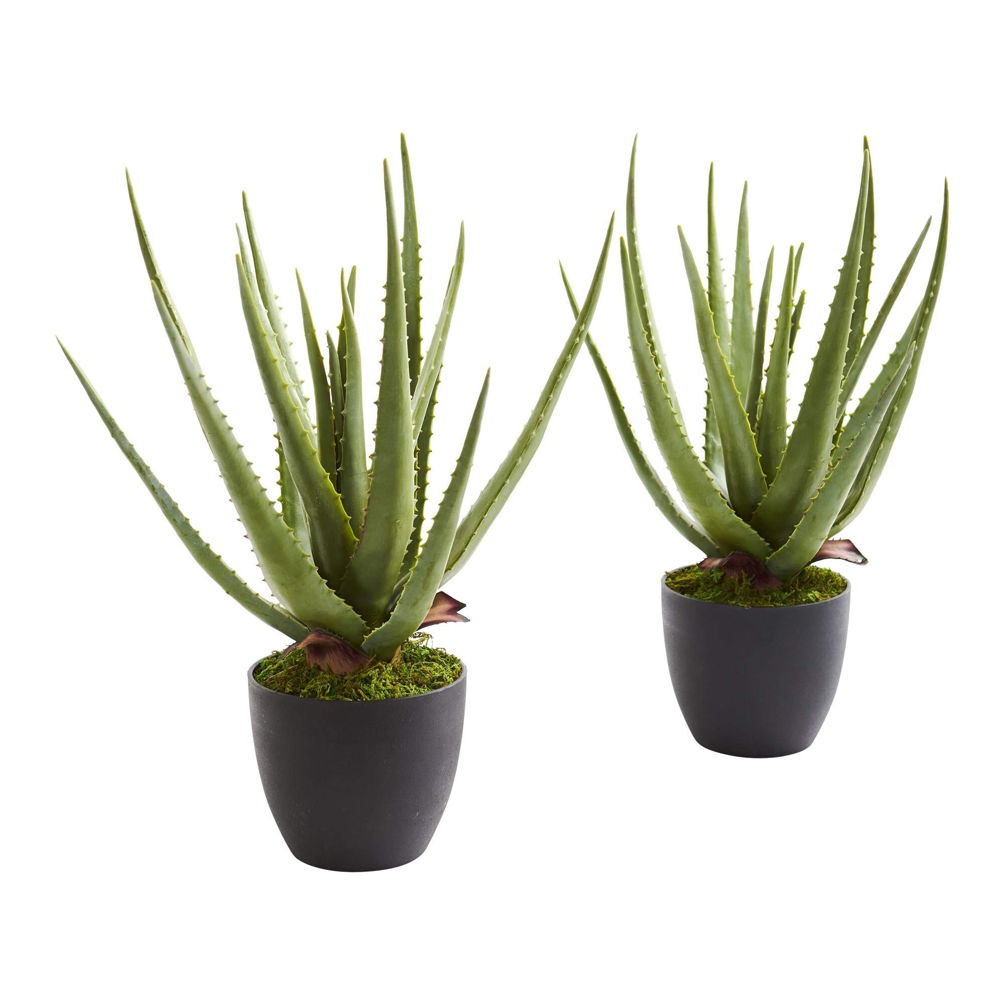 Realistic Aloe Vera Artificial Plants (Set of 2) - Low Maintenance Home Decor for Living Room, Office, or Bathroom